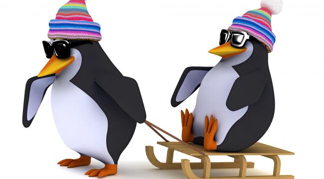 关于企鹅雪橇的动画电影名字