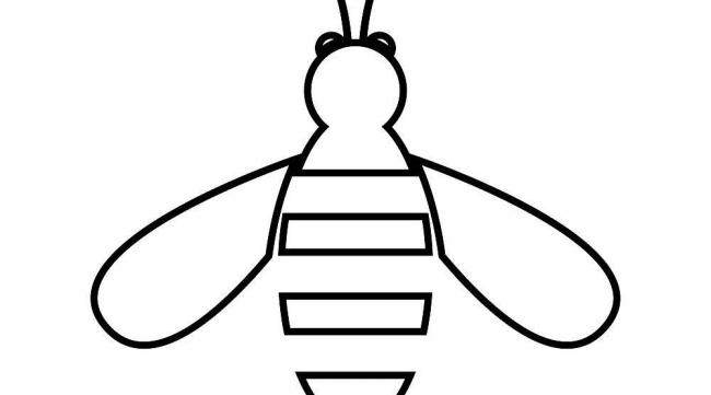 蜜蜂的笔画笔顺