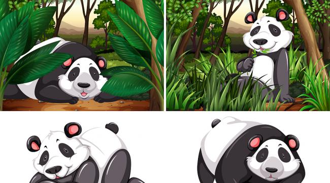 熊猫游戏介绍
