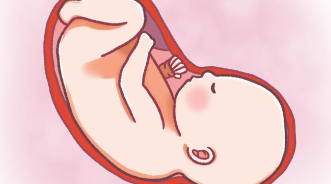 如何发现胎儿宫内缺氧