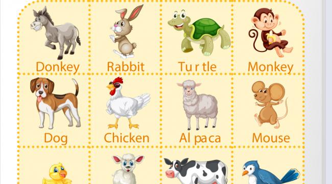 各种动物的英文单词有哪些