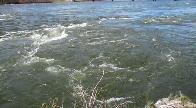 河水温度越高越缺氧吗