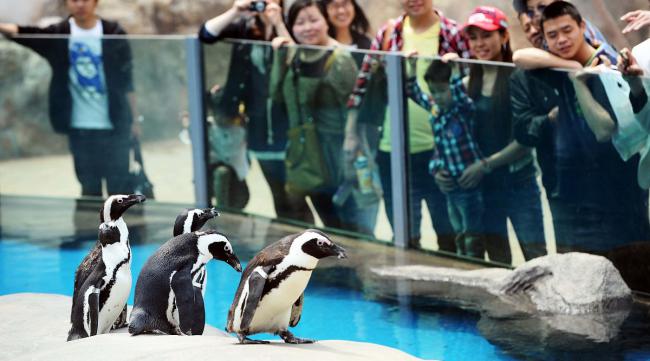北京动物园企鹅馆收费吗