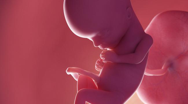 怀孕六个半月胎儿缺氧怎么办