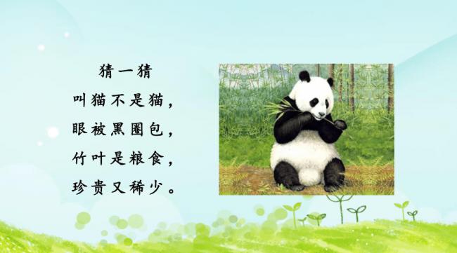 国宝大熊猫信息收集单