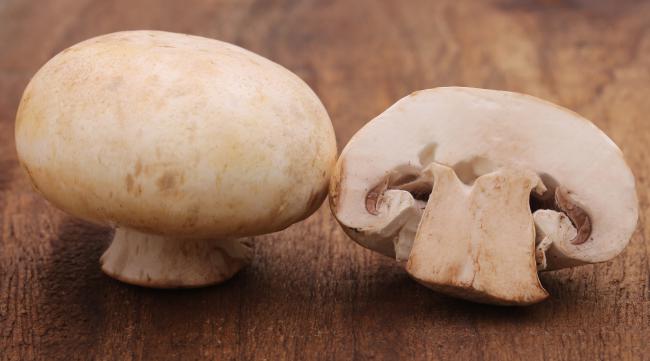 白色大蘑菇叫什么怎么吃的