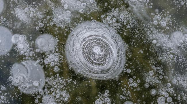 冬天湖里结冰气泡是什么原因