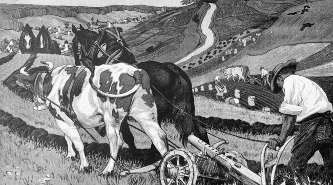 18世纪英国农业革命的特点