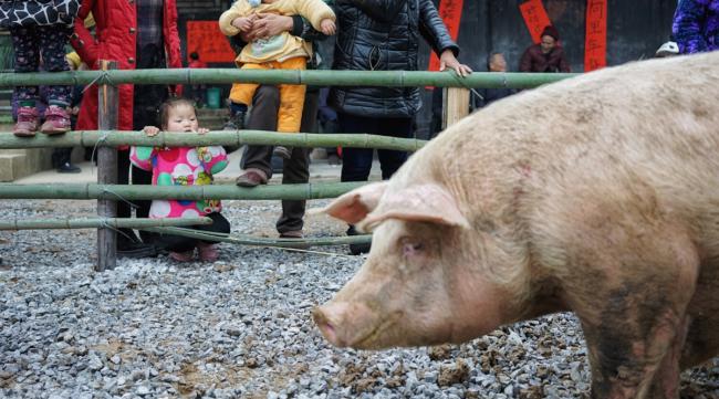 重庆的拱猪是怎么玩的啊