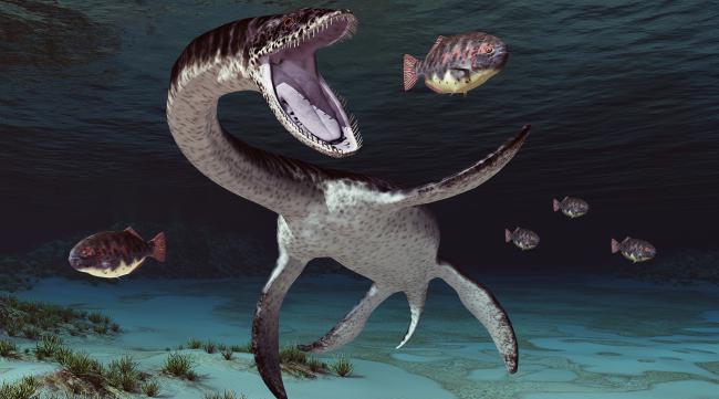 恐龙时代海洋最大生物