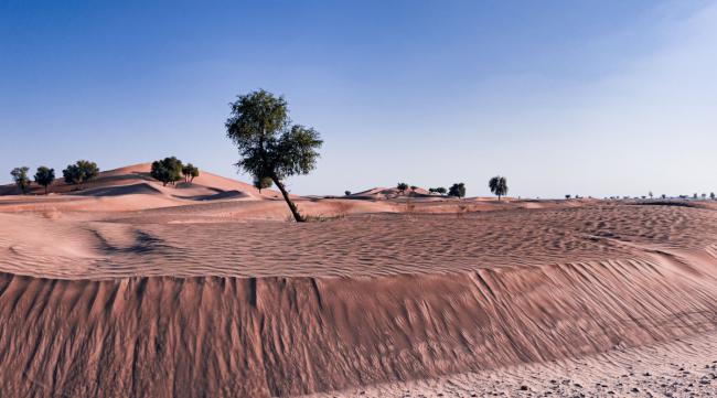 世界第九大沙漠多大面积