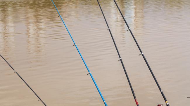 黄河的钓鱼有什么技巧和方法