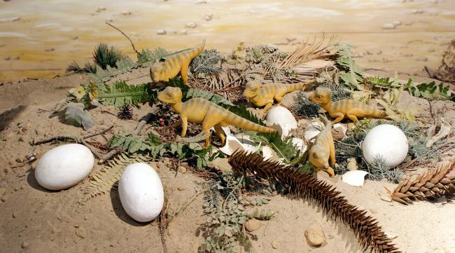 恐龙为什么下蛋而不是产崽呢
