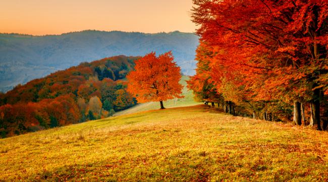 如何拍出秋天的景色