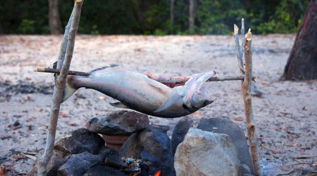 伐木求生怎么烤鱼