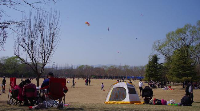 朝阳公园可以放风筝吗