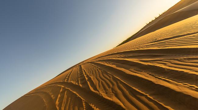 金沙的沙漠讲述了什么故事呢