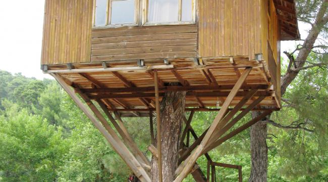 如何建造一间温馨的木结构树屋呢