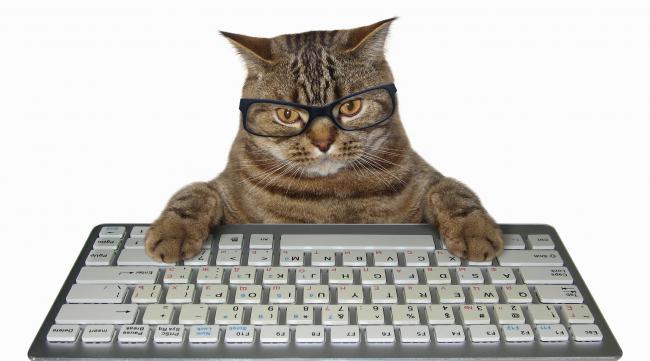 桌面键盘猫怎么改形象图标